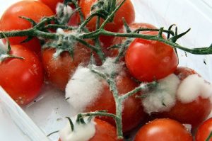 La ricetta tecnologica per evitare gli sprechi nell’industria alimentare