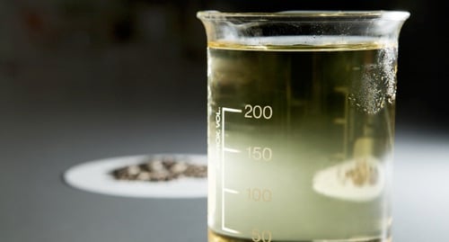 Biolubrificanti, l’alternativa ecologica per un’industria più green